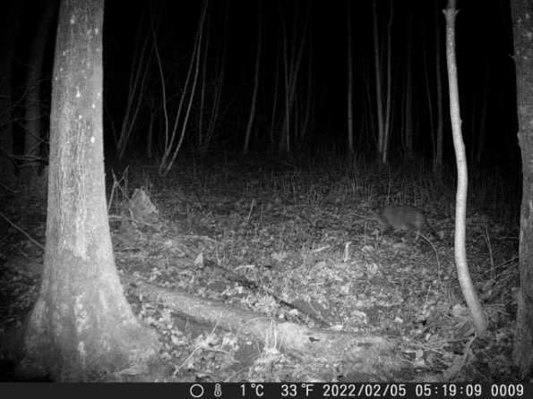 DSCF0009_th_1652774819