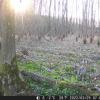 DSCF0589_th