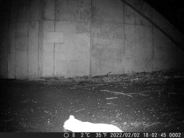 DSCF0002_th_1652777182