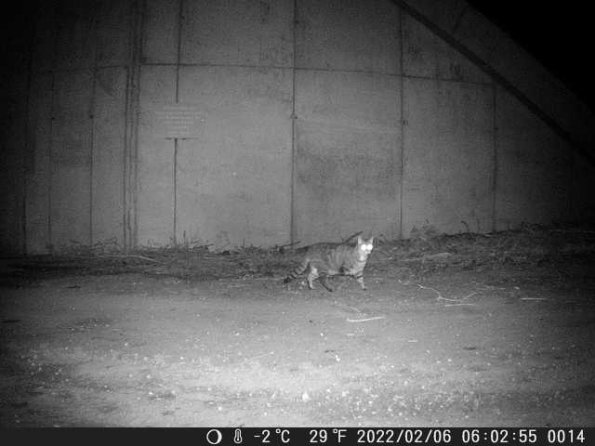 DSCF0014_th_1652777182