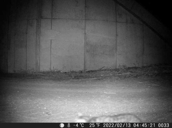 DSCF0033_th_1652777183