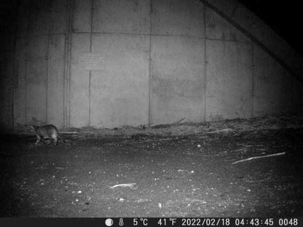 DSCF0048_th_1652777183