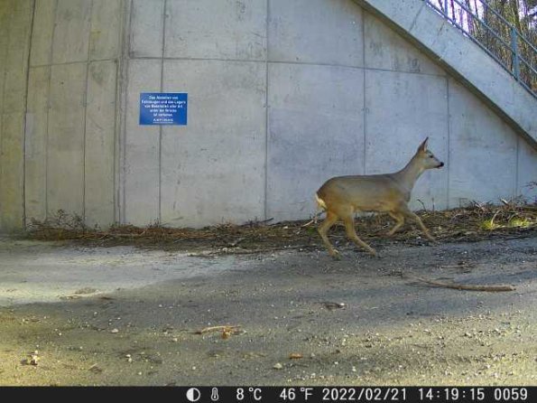 DSCF0059_th_1652777185