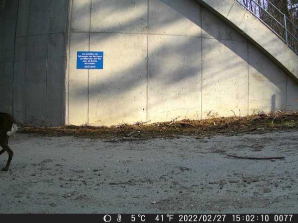 DSCF0077_th_1652777186