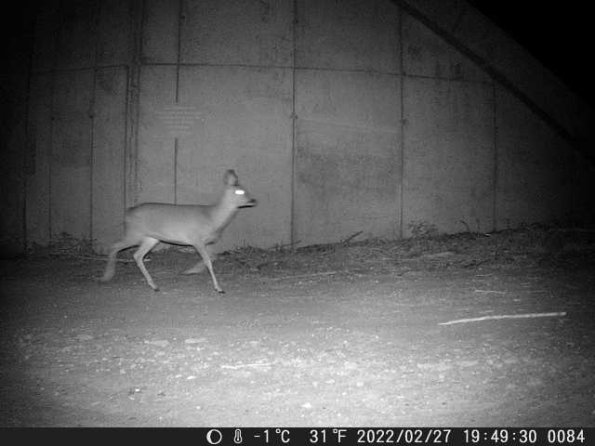 DSCF0084_th_1652777184