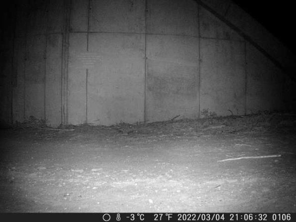 DSCF0106_th_1652777188