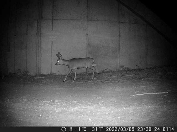 DSCF0114_th_1652777187