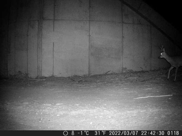 DSCF0118_th_1652777188