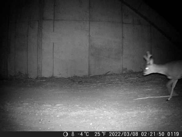 DSCF0119_th_1652777188