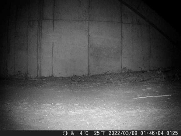 DSCF0125_th_1652777189