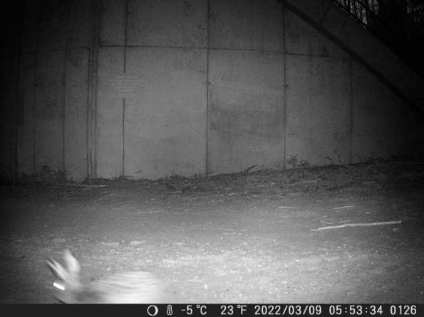 DSCF0126_th_1652777190