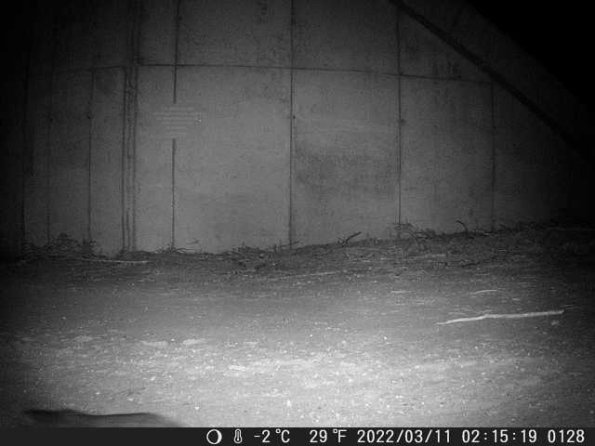 DSCF0128_th_1652777190