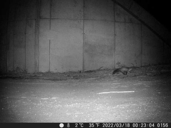 DSCF0156_th_1652777191