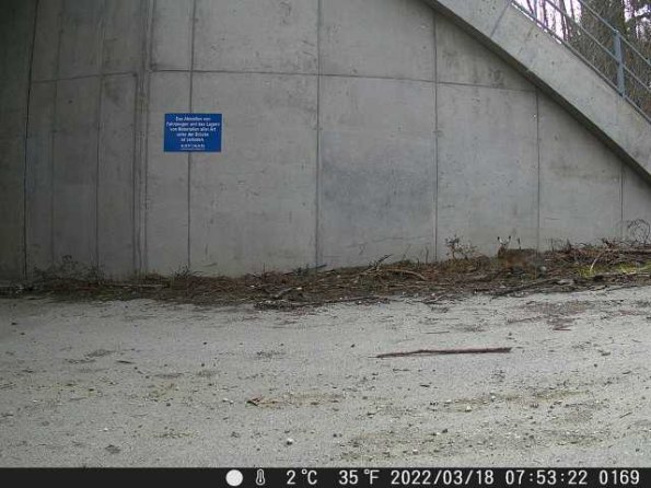 DSCF0169_th_1652777192