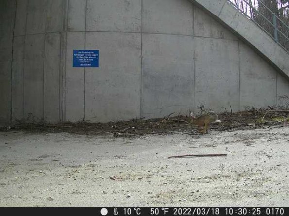 DSCF0170_th_1652777193