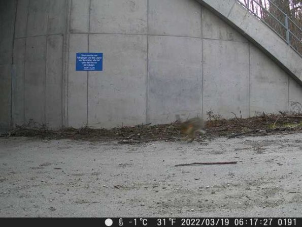 DSCF0191_th_1652777194