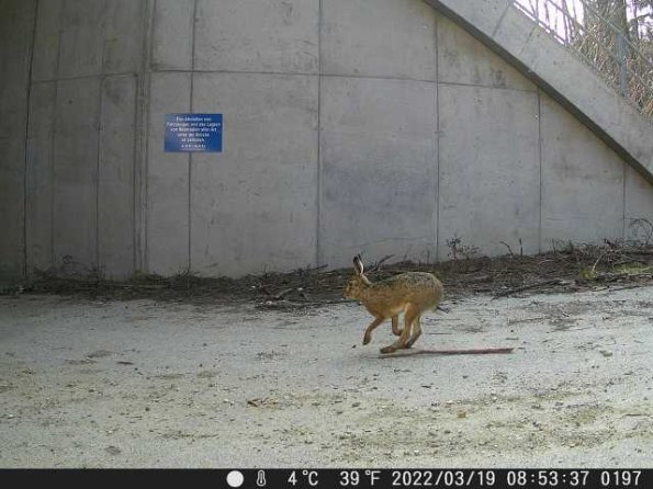 DSCF0197_th_1652777195