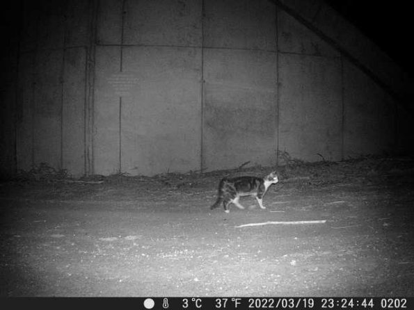 DSCF0202_th_1652777195