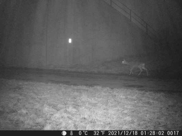 DSCF0017_th_1652777421