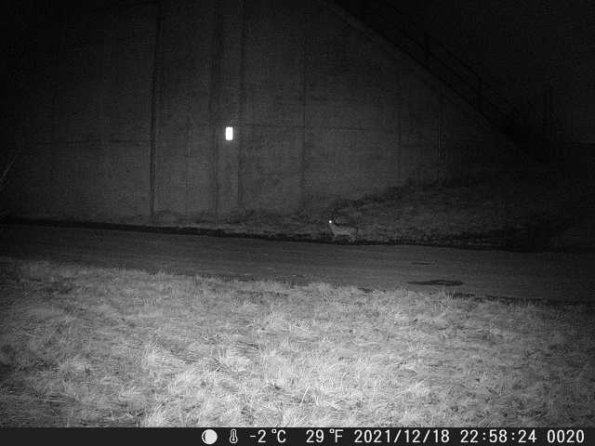 DSCF0020_th_1652777420