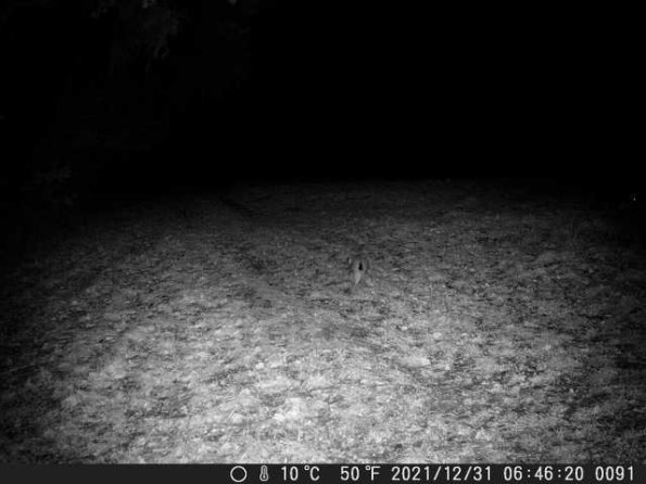 DSCF0091_th