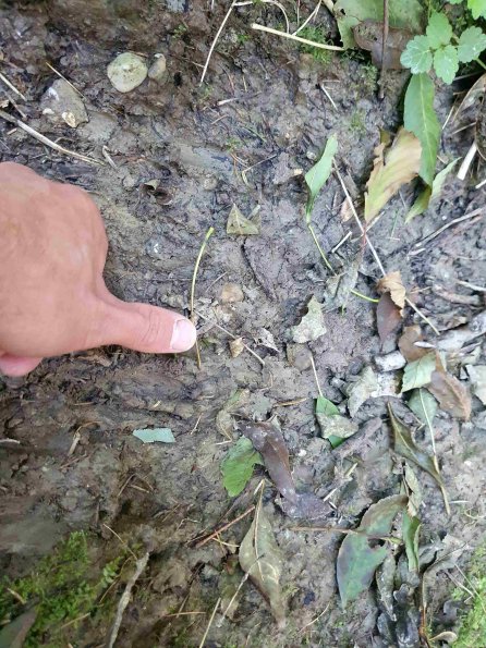 PA_AT_KOB_abovefootprintphoto_20210925125723704_1663588443