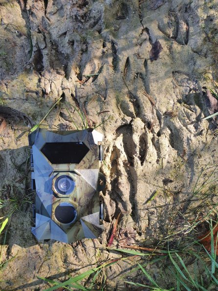 PA_AT_KOB_abovefootprintphoto_20210926104037943