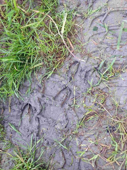 PA_AT_KOB_abovefootprintphoto_20210926105638103_1663588444