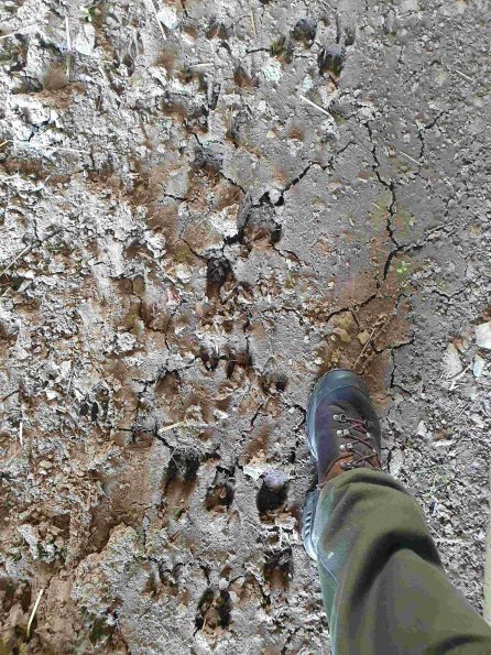 PA_AT_KOB_abovefootprintphoto_20210926114425465_1663588444