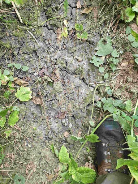 PA_AT_KOB_abovefootprintphoto_20210926130220676_1663588441