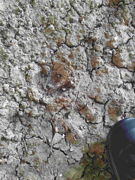 PA_AT_KOB_abovefootprintphoto_20210926131203601_1663588440