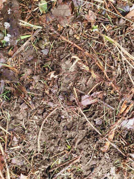 PA_AT_KOB_abovefootprintphoto_20220402100701980