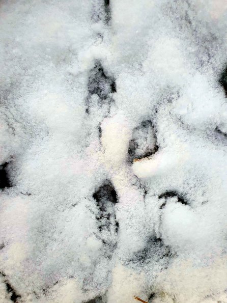 PA_AT_KOB_abovefootprintphoto_20220403095830231