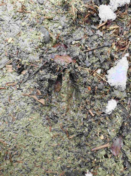 PA_AT_KOB_abovefootprintphoto_20220403105348091