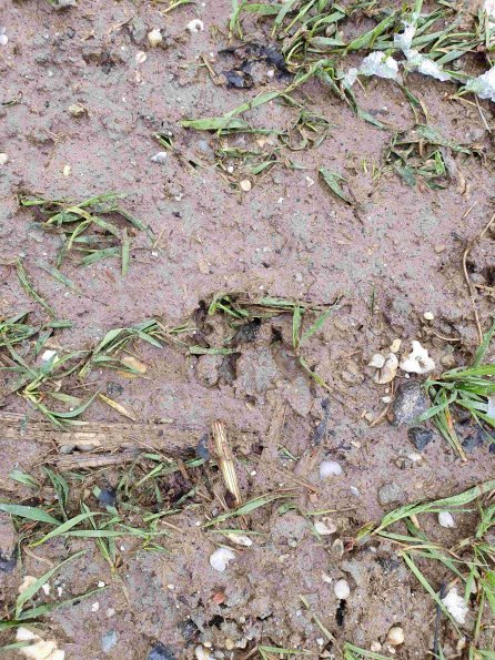 PA_AT_KOB_abovefootprintphoto_20220403113146821