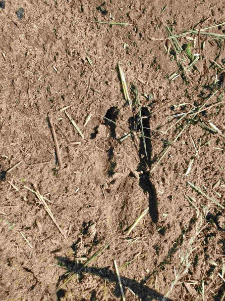 PA_AT_KOB_abovefootprintphoto_20220611101132603