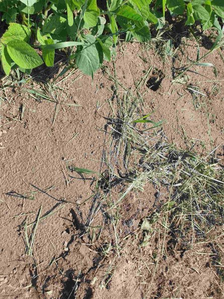 PA_AT_KOB_abovefootprintphoto_20220611101336138