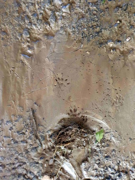 PA_AT_KOB_abovefootprintphoto_20220611103801799