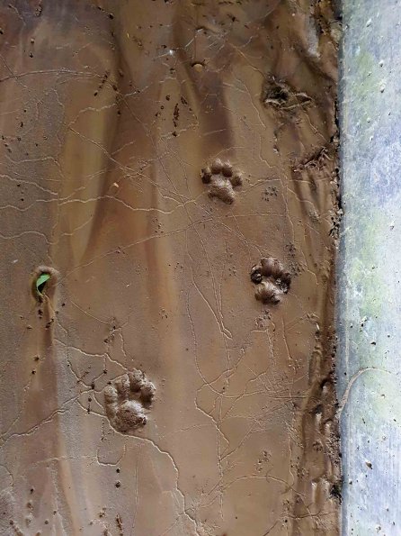 PA_AT_KOB_abovefootprintphoto_20220611103924158