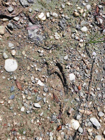 PA_AT_KOB_abovefootprintphoto_20220611111045234