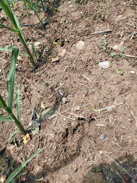 PA_AT_KOB_abovefootprintphoto_20220611120651089