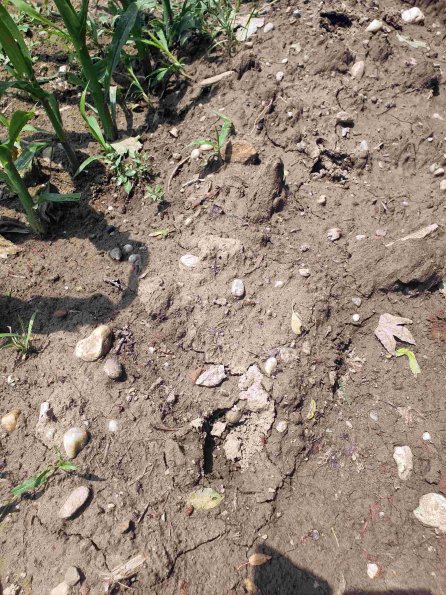 PA_AT_KOB_abovefootprintphoto_20220611120820515