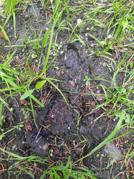 PA_AT_KOB_abovefootprintphoto_20220611132529237