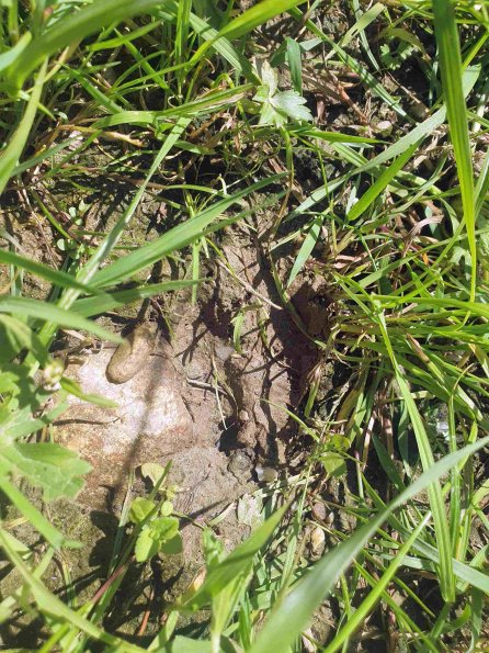 PA_AT_KOB_abovefootprintphoto_20220611134450441