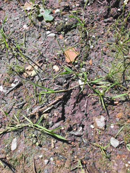 PA_AT_KOB_abovefootprintphoto_20220611152812063