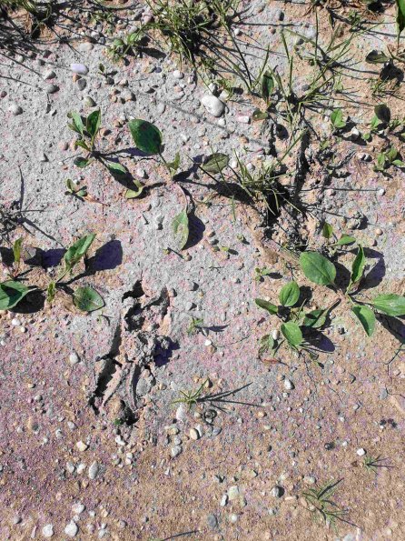 PA_AT_KOB_abovefootprintphoto_20220611164718960_1663588557