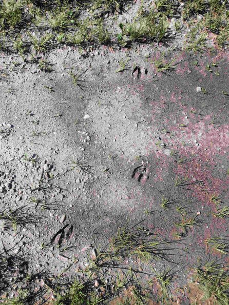 PA_AT_KOB_abovefootprintphoto_20220611165003620_1663588557