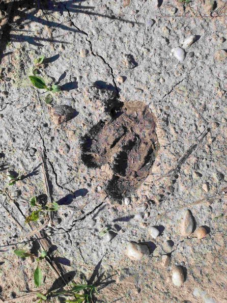 PA_AT_KOB_abovefootprintphoto_20220611170135504_1663588562