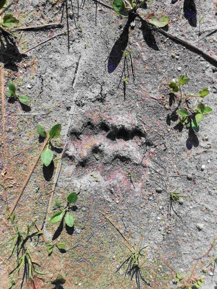 PA_AT_KOB_abovefootprintphoto_20220611170223001_1663588560