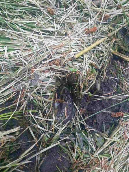 PA_AT_KOB_abovefootprintphoto_20220611181626735_1663588581